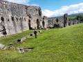Denbigh Castle ruins