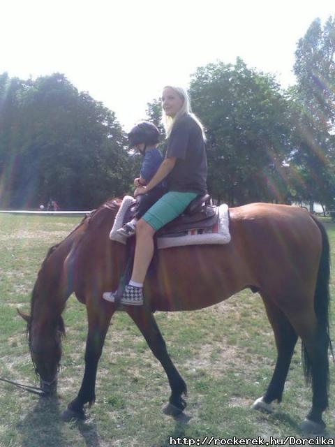 Tot els lovaglsa :)