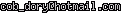 msn