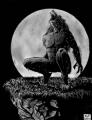 Werewolf