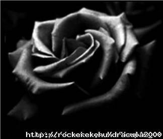 0015744_029