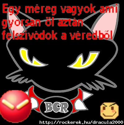 bad cat