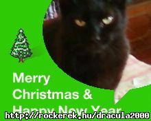merri christmas