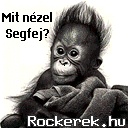 mit nzel