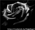 0015744_029