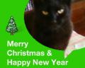 merri christmas