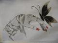 lepke 