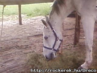 Fnykpek-0658