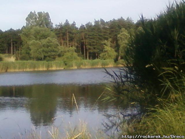 Veres7