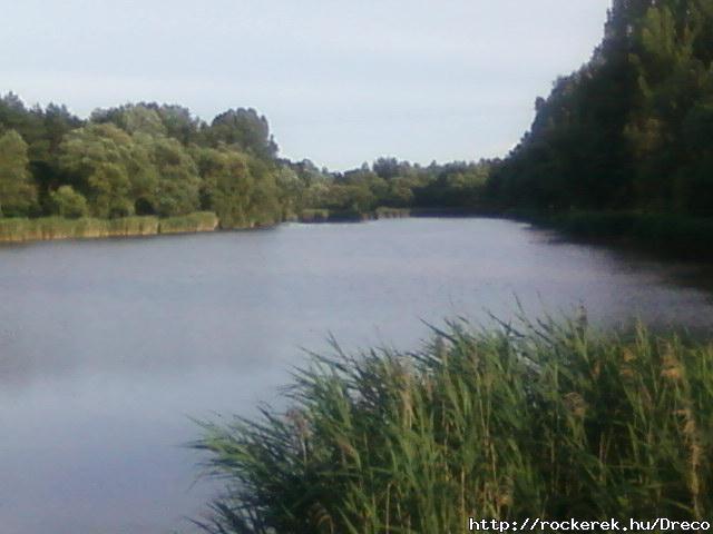 Veres8