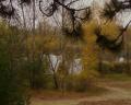 Veres2