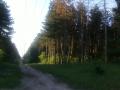 Veres13