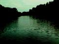 veresi t