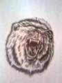 10._medve[1]