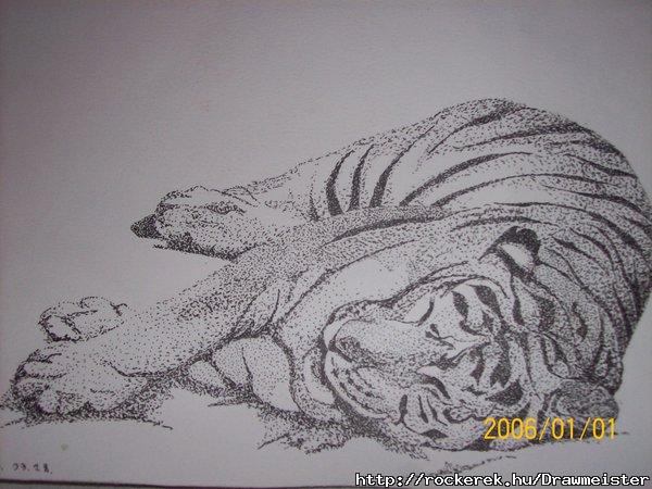 tigris pontokbl