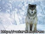 images[14]