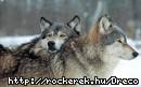 images[33]
