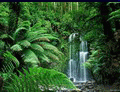 kategoria_erdo_37[1].html