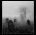 images[1]
