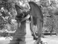 images[4]