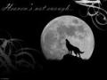 images[11]