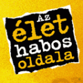 Borsodi