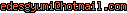 msn