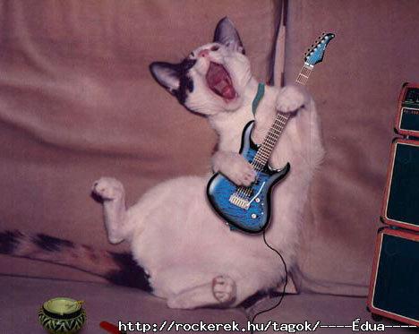Rockercica