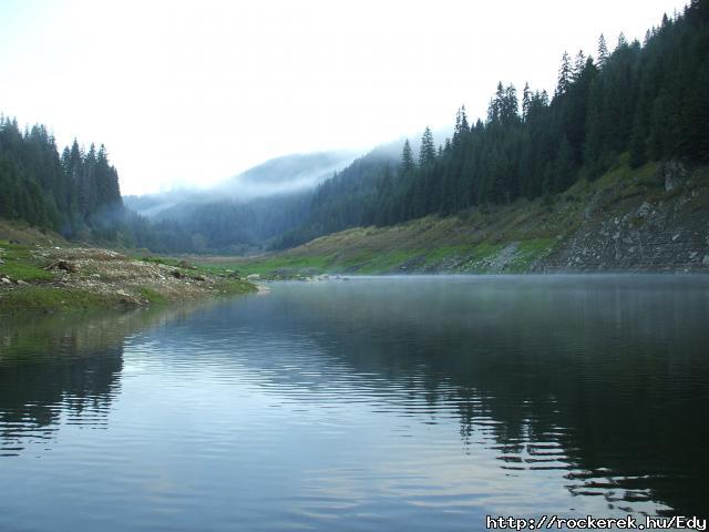 DSCF2081