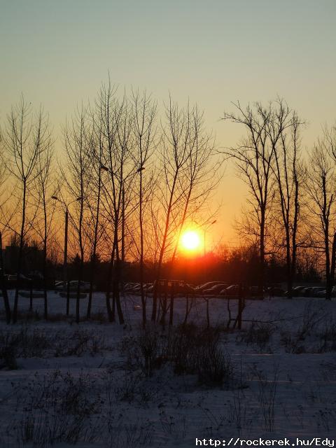 DSCF6274