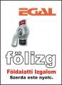 Flizg