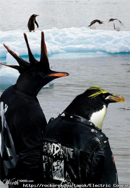 pingunpunks63_c803_625x1000