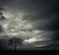 dark