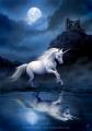 Moonlight%20Unicorn%20by%20Anne%20Stokes