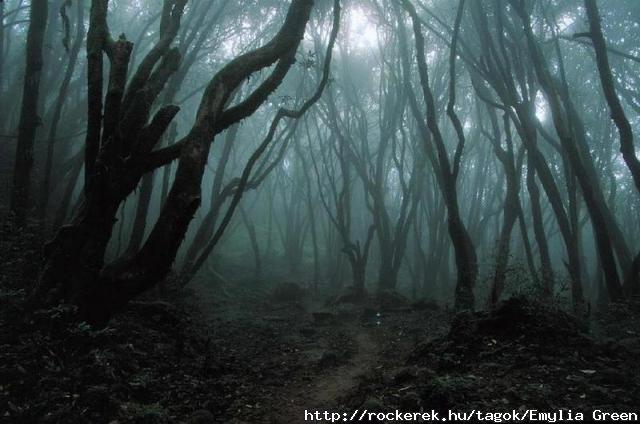 Dark forest