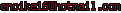 msn