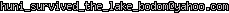 msn