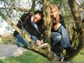 Katval