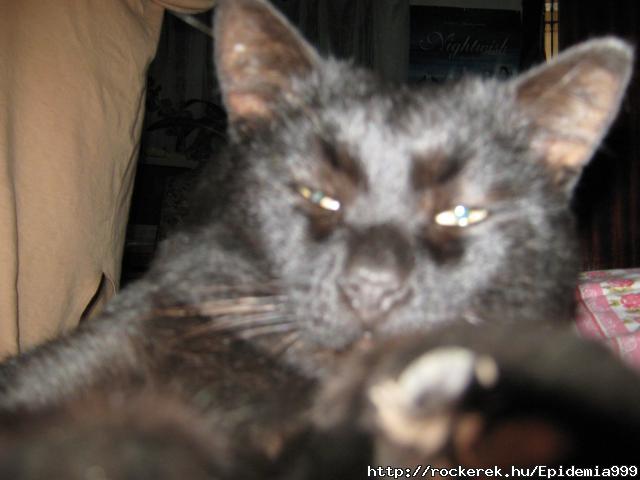 Buffy a black macsekom