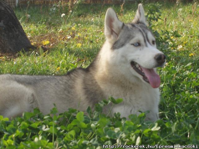 Lili a klykk anyukja:)