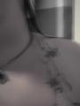 CIMG0826