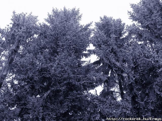 DSCN0823