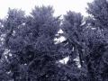 DSCN0823