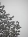 DSCN0831
