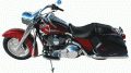 2006_Harley_lrg[1]