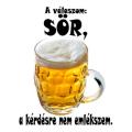 18-36-40-A-valaszom-sor-fekete-felirattal-38363