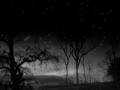 love-night-fall-dark-31000