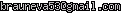 msn