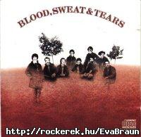 Blood Sweat &Tears