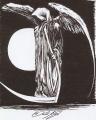 evi001